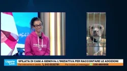 Dog parade in Genoa to promote adoptions: the Monte Contessa kennel initiative