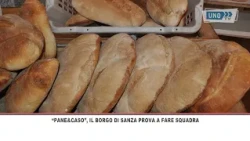 SRV BREAD&CHEESE SANZA